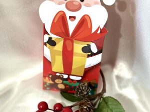 Mikulás Box Csokoládé Pralinékkal 105 g