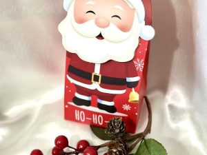 Mikul&aacute;s ( Ho Ho Ho ) Csokol&aacute;d&eacute; Pralin&eacute;kkal 105 g